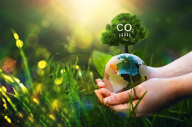 Rental en Green | Plus Container services